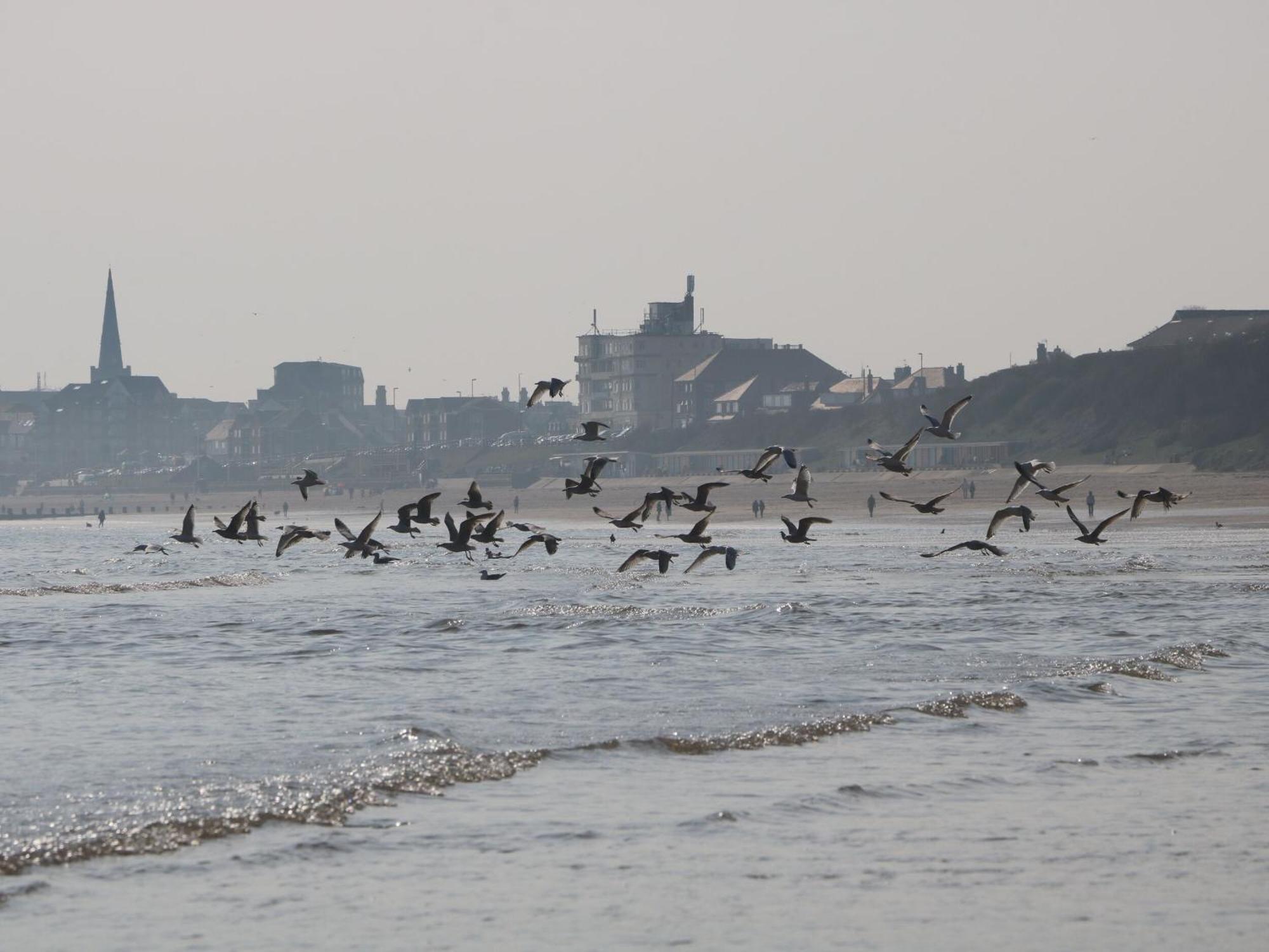 Sunny South Shore Bridlington
